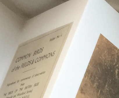 common_birds_actual_print copy