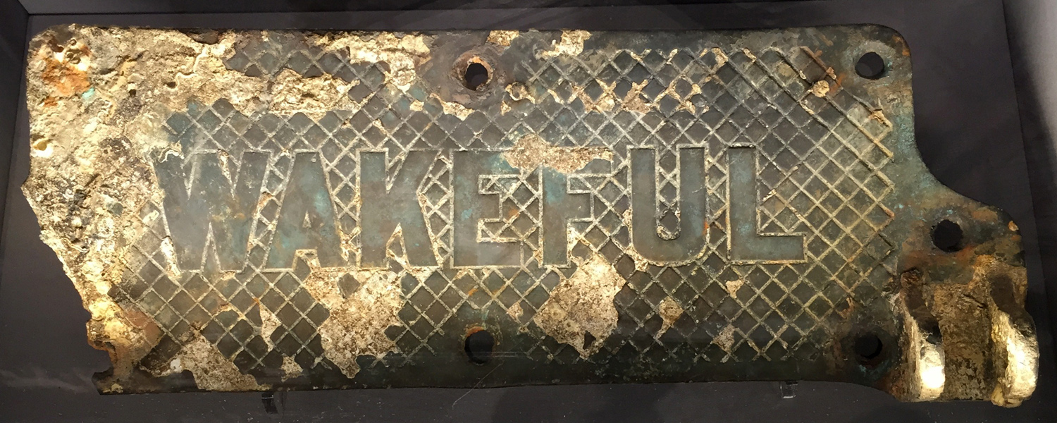 wakeful plate sml copy